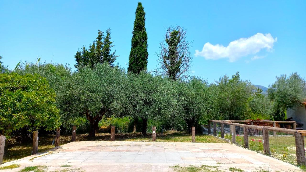 Platanos Villa Vasilikí Exterior photo